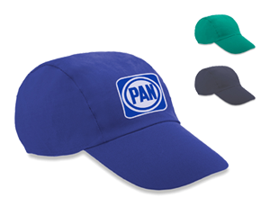 CAMPAÑA