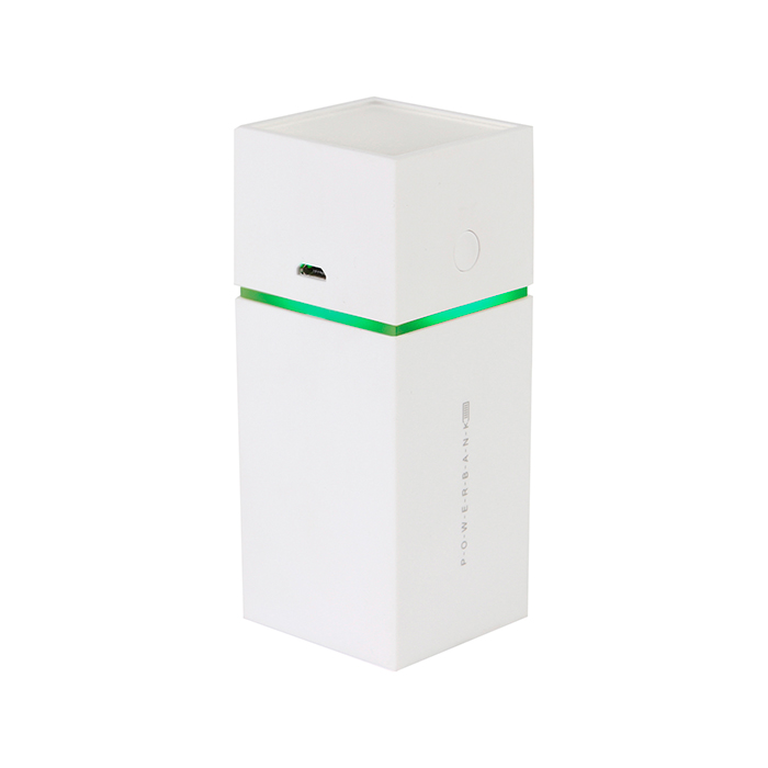 POWER BANK 10,000